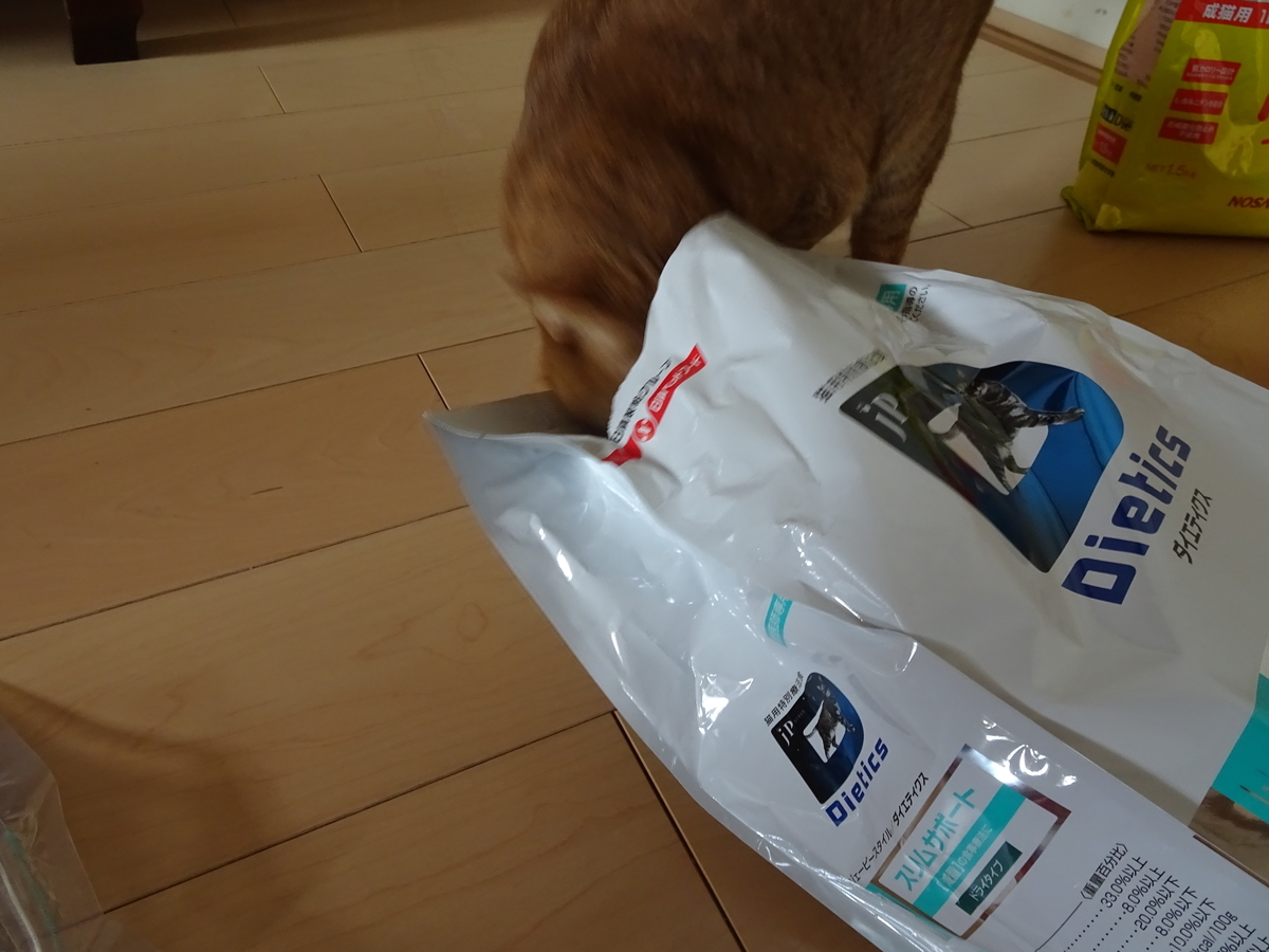 f:id:Betty0918:20190919185738j:plain