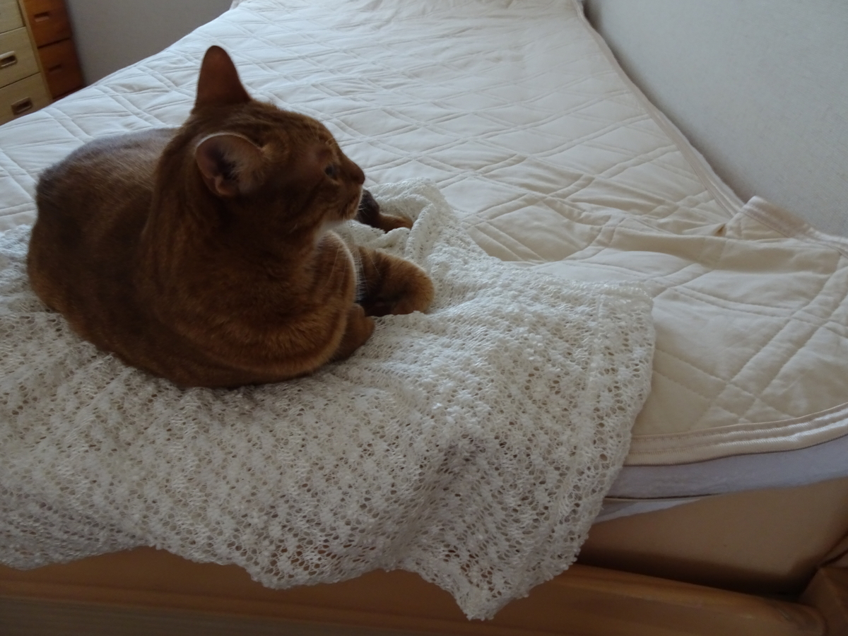 f:id:Betty0918:20190930113532j:plain