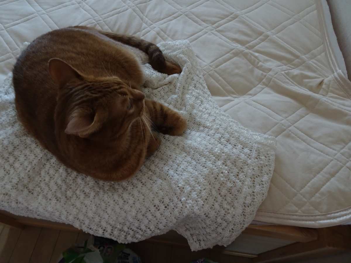 f:id:Betty0918:20190930113710j:plain