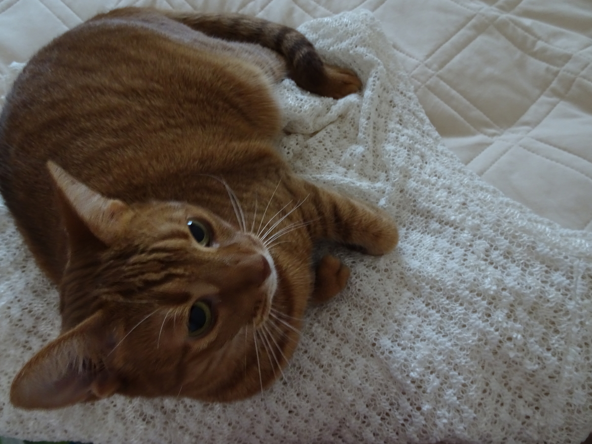 f:id:Betty0918:20190930113814j:plain