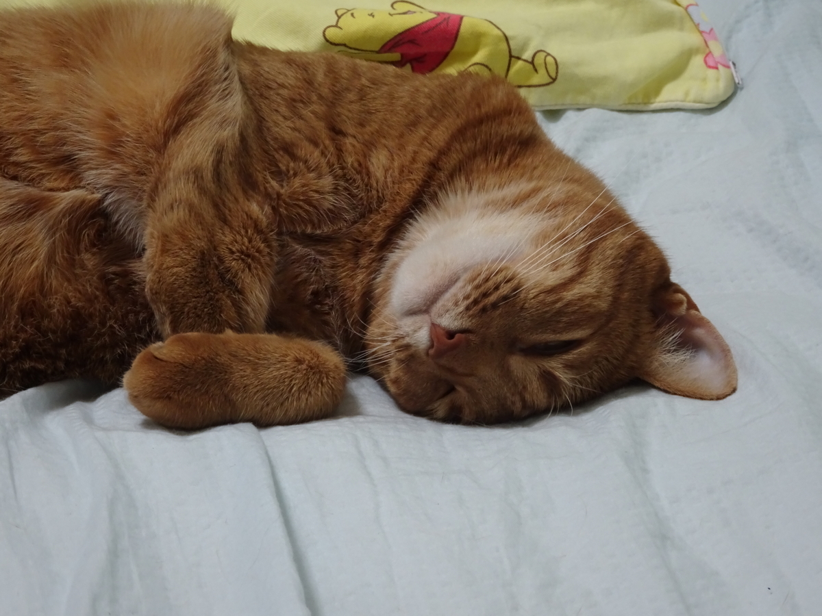 f:id:Betty0918:20190930114226j:plain