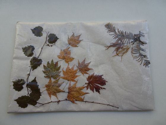 f:id:Betty0918:20191001152757j:plain