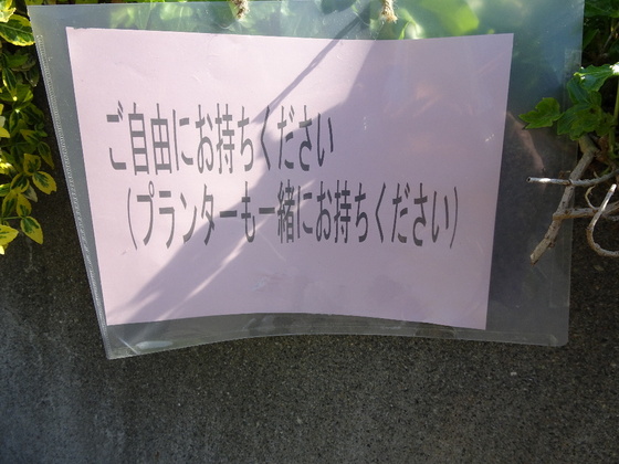 f:id:Betty0918:20191001153055j:plain