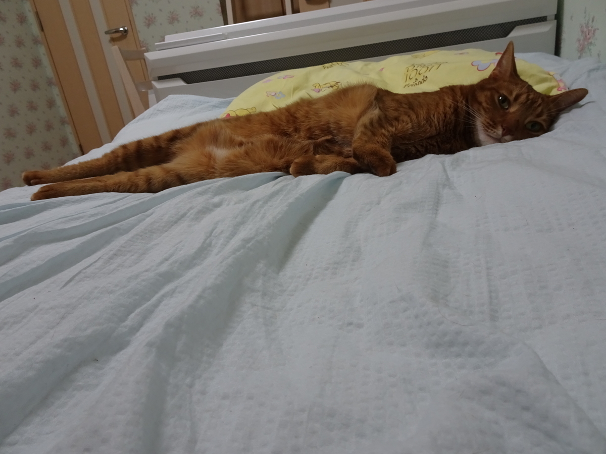 f:id:Betty0918:20191001155147j:plain