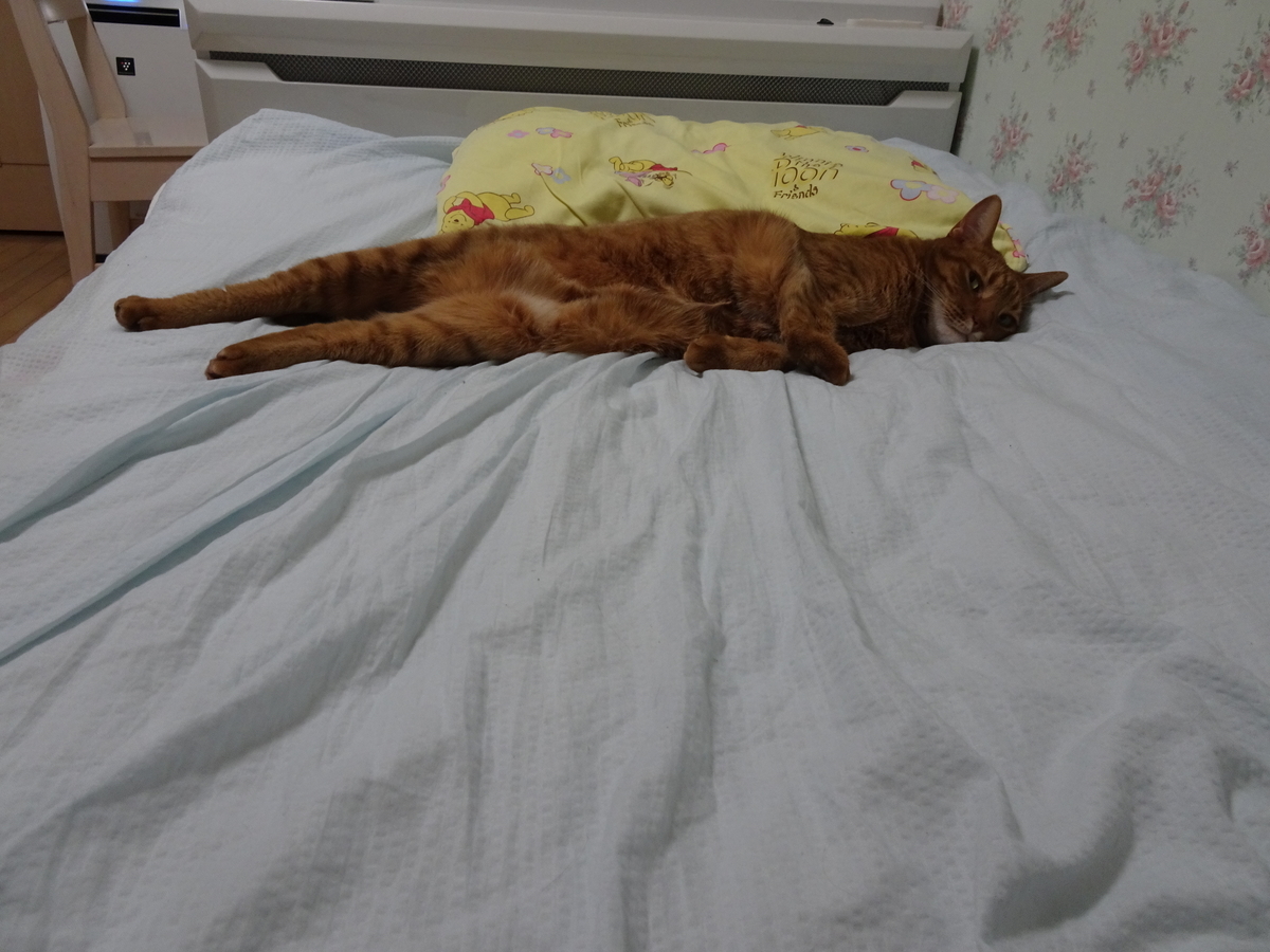 f:id:Betty0918:20191001155358j:plain