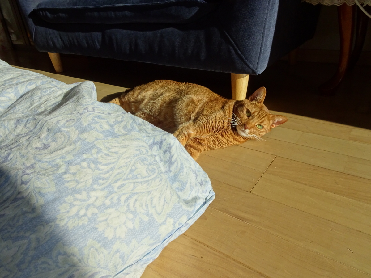 f:id:Betty0918:20191227132633j:plain