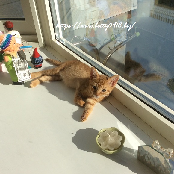 f:id:Betty0918:20191227132738j:plain