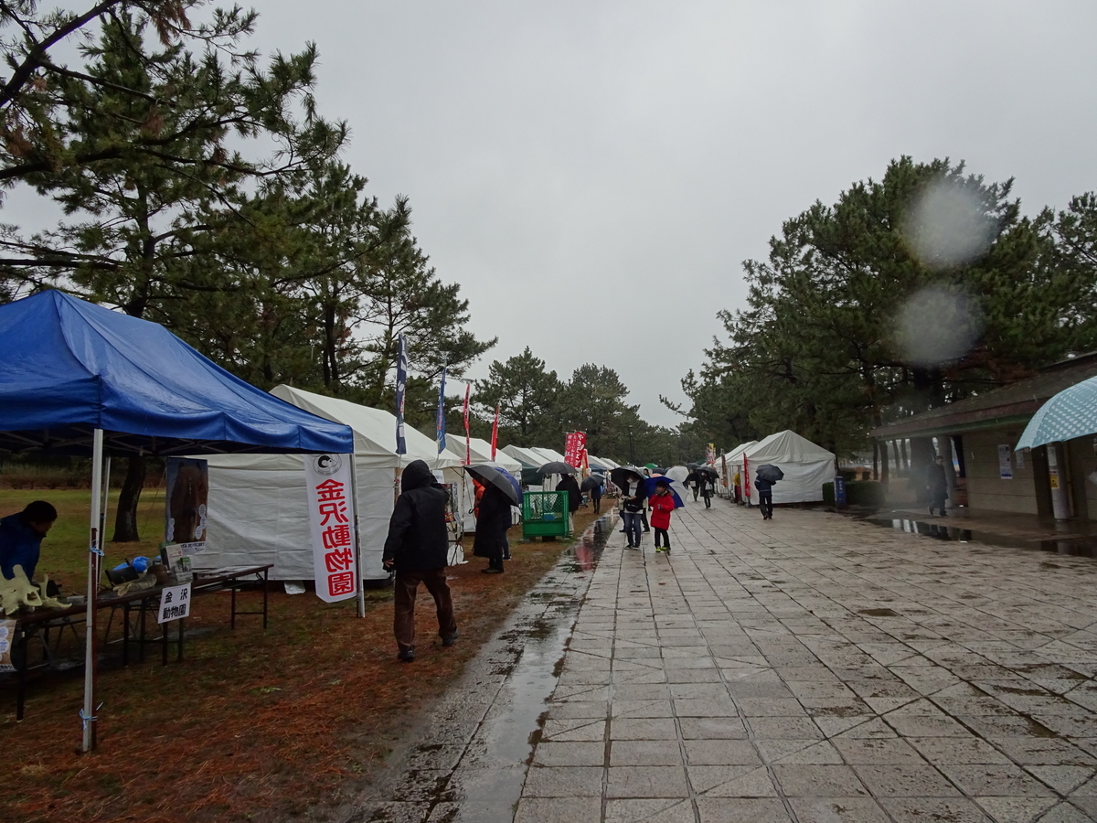 f:id:Betty0918:20200118201859j:plain