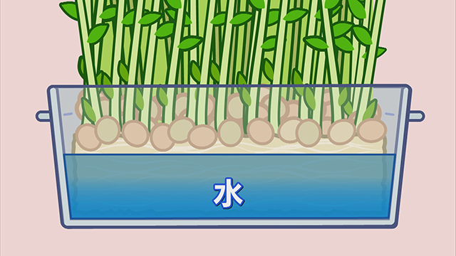 f:id:Betty0918:20200225204255j:plain f:id:Betty0918:20200225204255j:plain