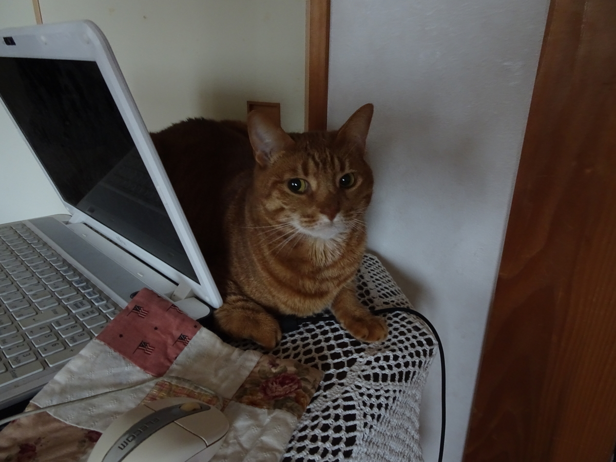 f:id:Betty0918:20200227114929j:plain