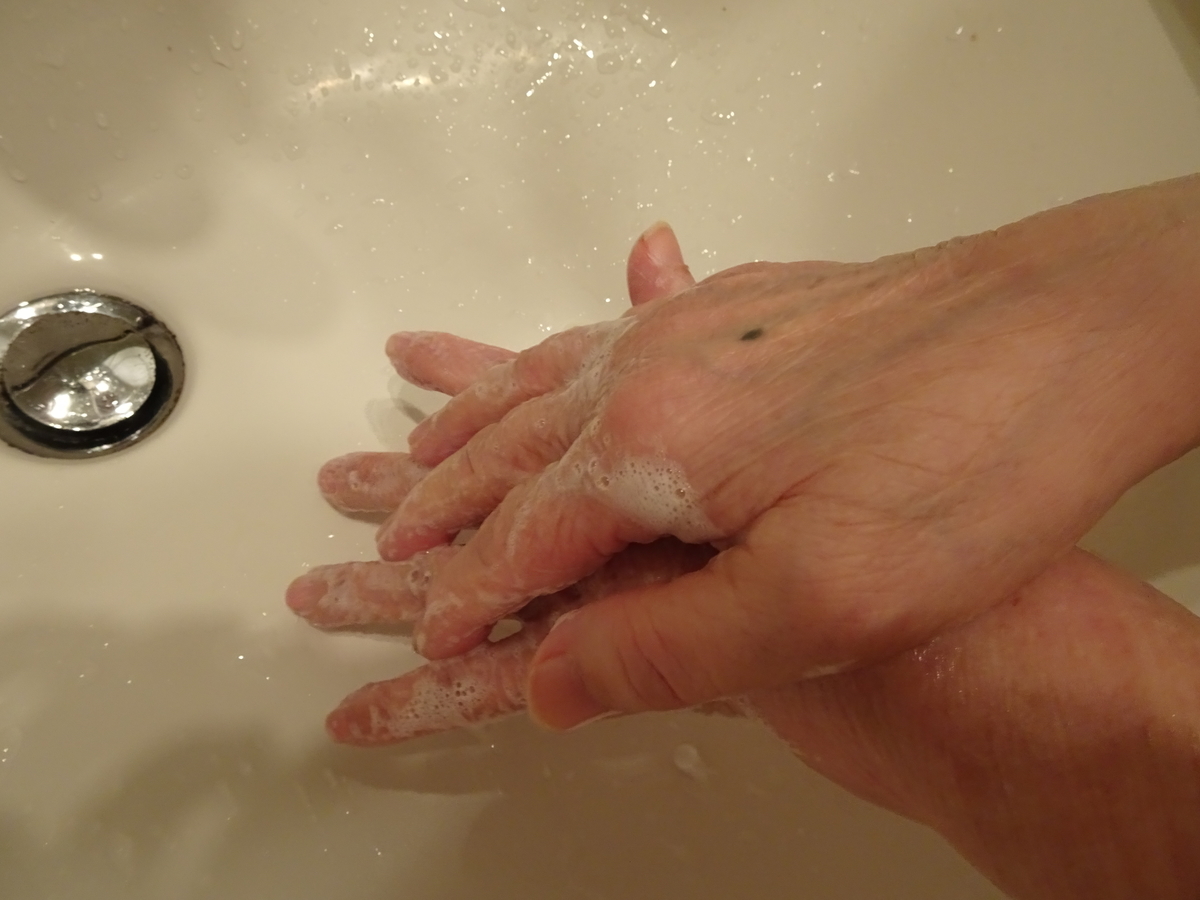 f:id:Betty0918:20200321100015j:plain f:id:Betty0918:20200321100015j:plain