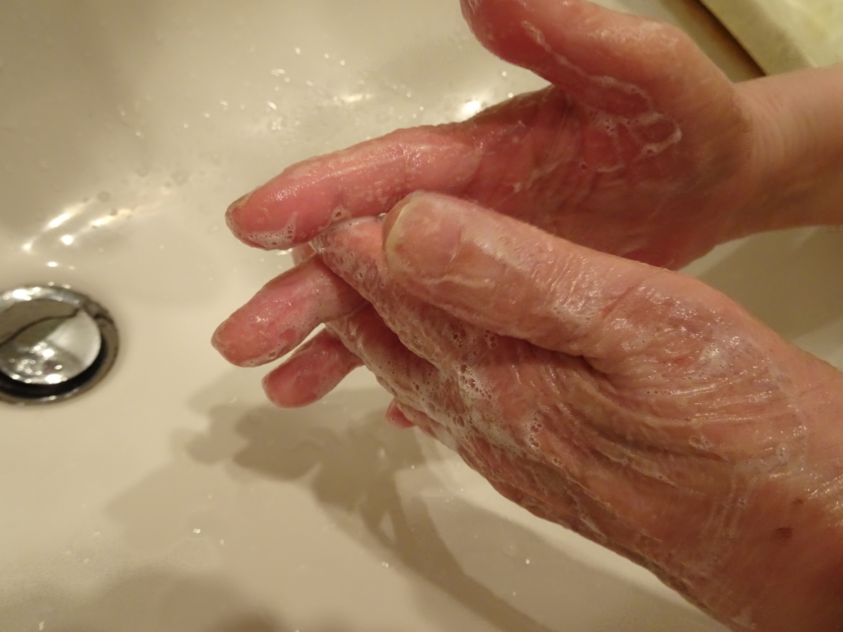 f:id:Betty0918:20200321100127j:plain f:id:Betty0918:20200321100127j:plain