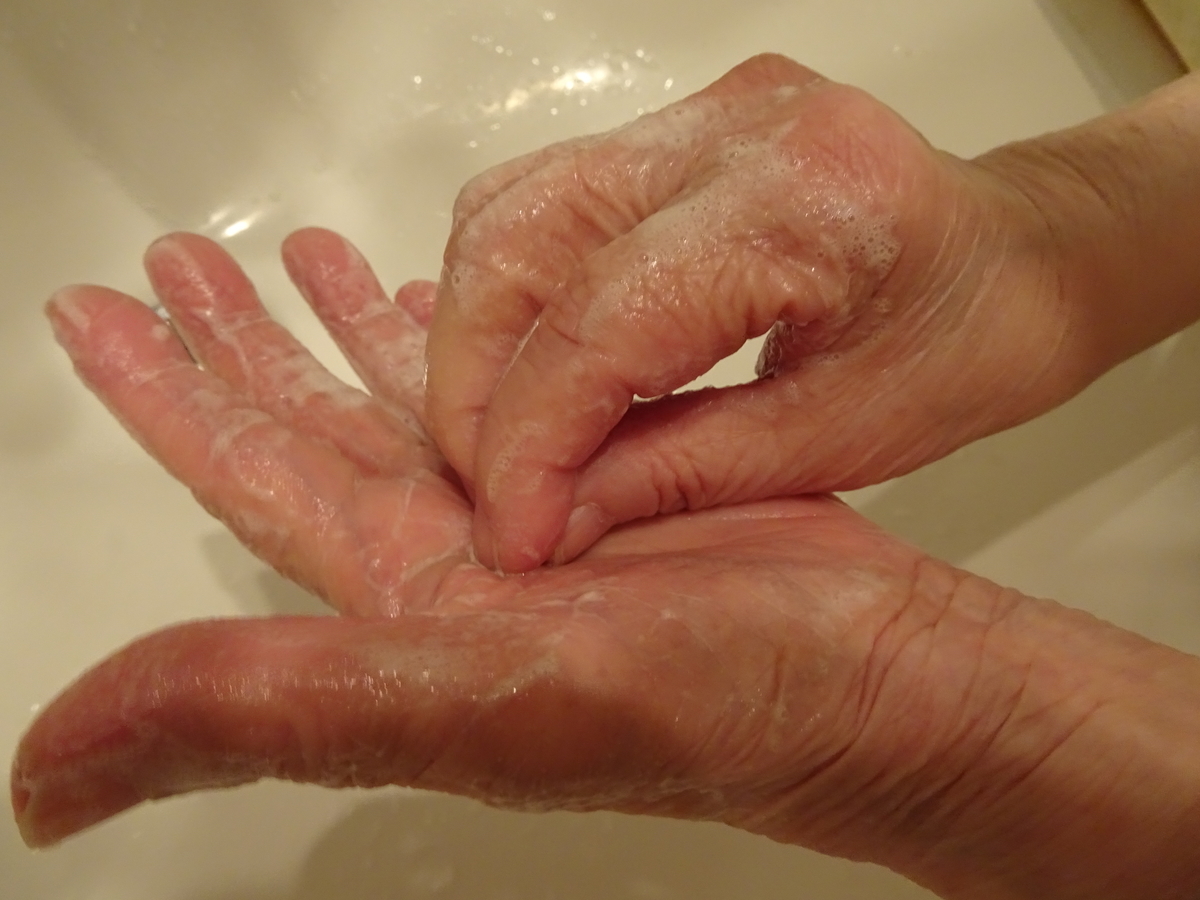 f:id:Betty0918:20200321100235j:plain f:id:Betty0918:20200321100235j:plain