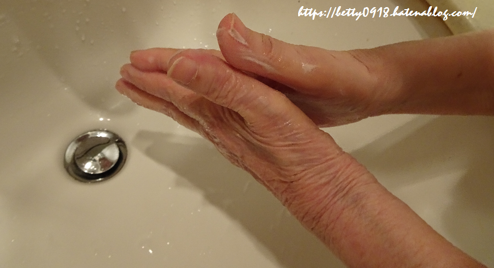 f:id:Betty0918:20200321101238p:plain f:id:Betty0918:20200321101238p:plain