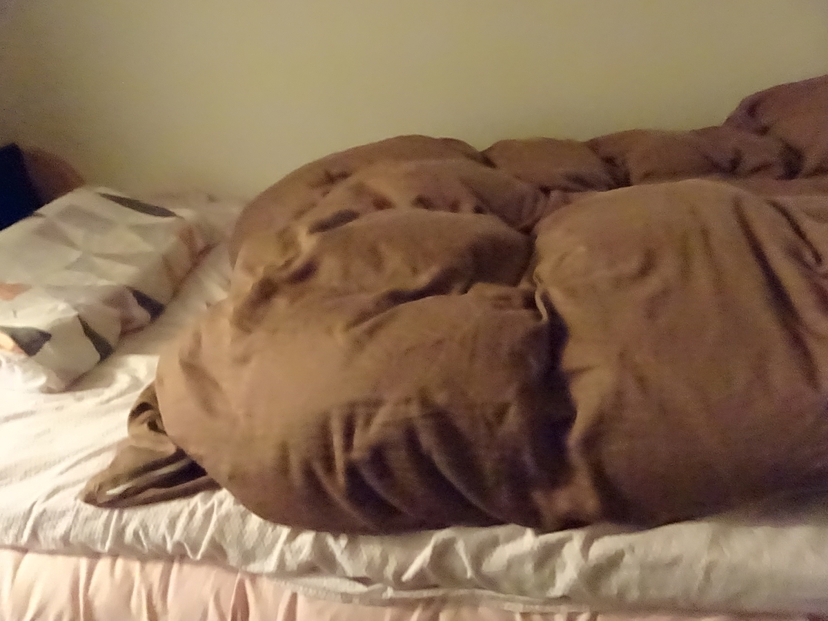 f:id:Betty0918:20200427180954j:plain f:id:Betty0918:20200427180954j:plain