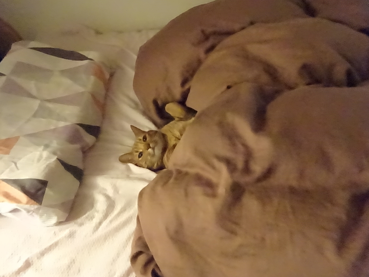 f:id:Betty0918:20200427181211j:plain f:id:Betty0918:20200427181211j:plain