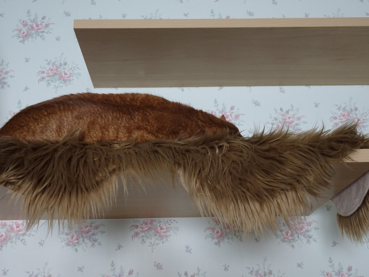 f:id:Betty0918:20200502174844j:plain f:id:Betty0918:20200502174844j:plain