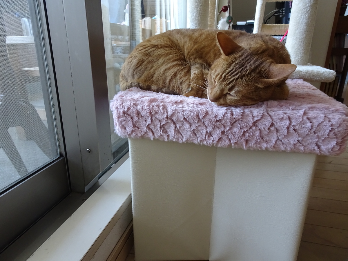 f:id:Betty0918:20200502175223j:plain f:id:Betty0918:20200502175223j:plain