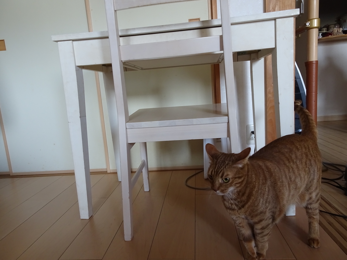 f:id:Betty0918:20200503145017j:plain