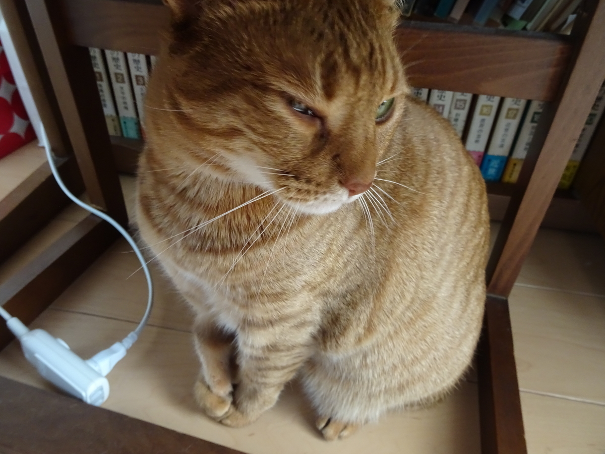 f:id:Betty0918:20200519171456j:plain