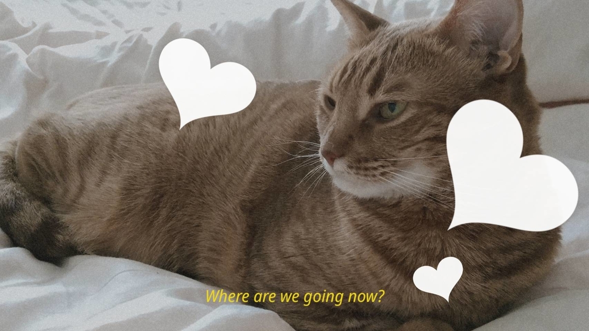 f:id:Betty0918:20200528173758j:plain