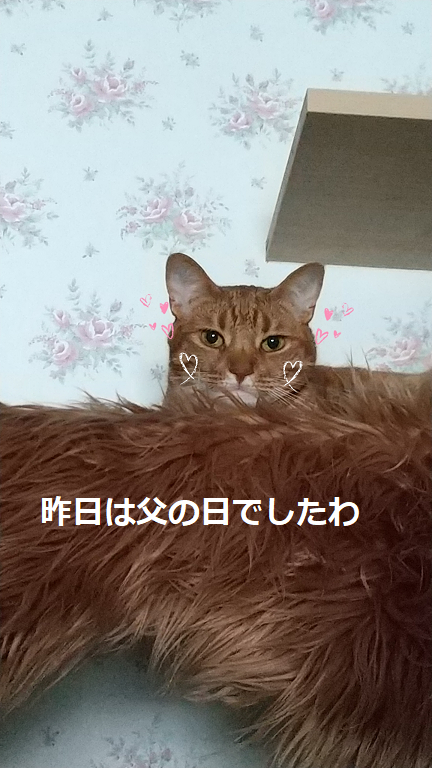 f:id:Betty0918:20200622132444p:plain f:id:Betty0918:20200622132444p:plain