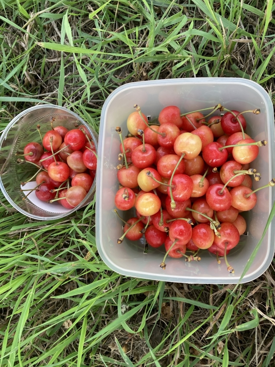 f:id:Betty0918:20200624095601j:plain