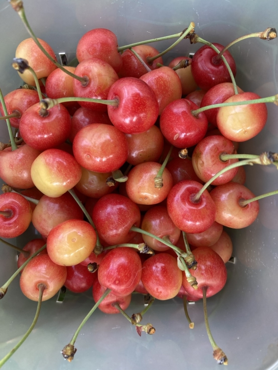 f:id:Betty0918:20200624095634j:plain