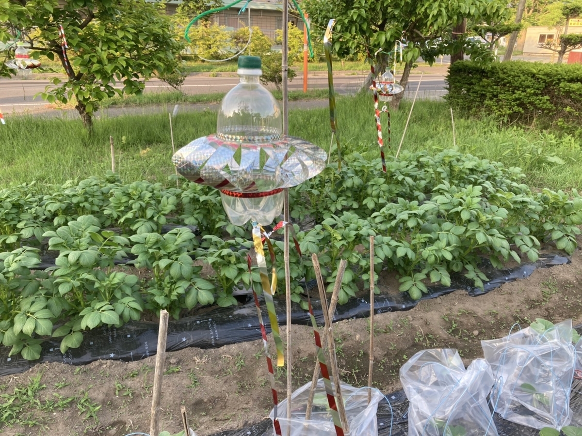 f:id:Betty0918:20200624095724j:plain