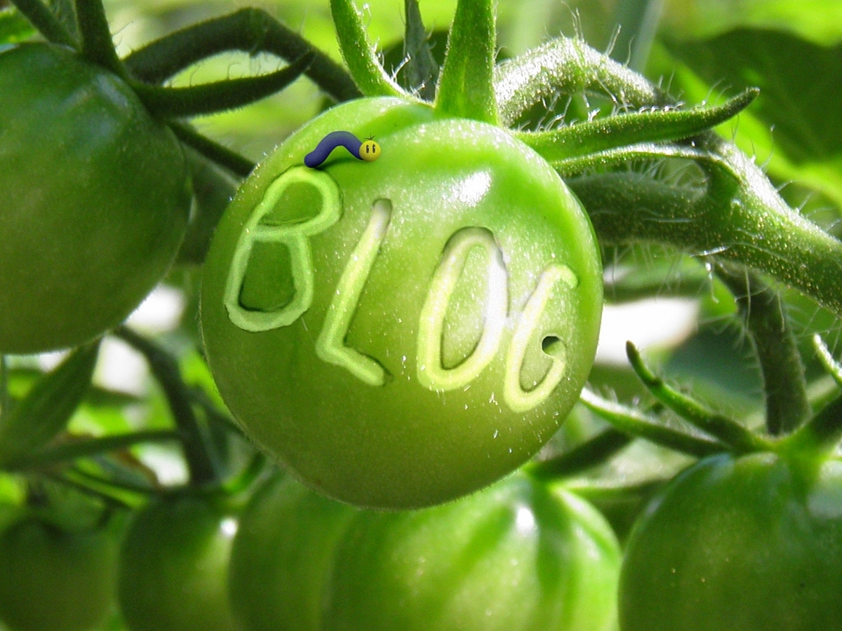 f:id:Betty0918:20200624190848j:plain f:id:Betty0918:20200624190848j:plain