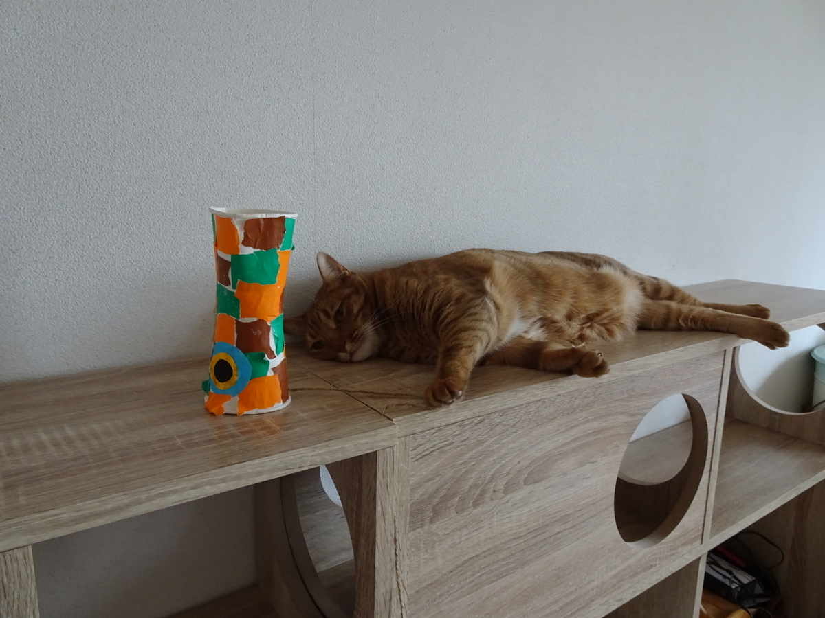 f:id:Betty0918:20200718213912j:plain f:id:Betty0918:20200718213912j:plain