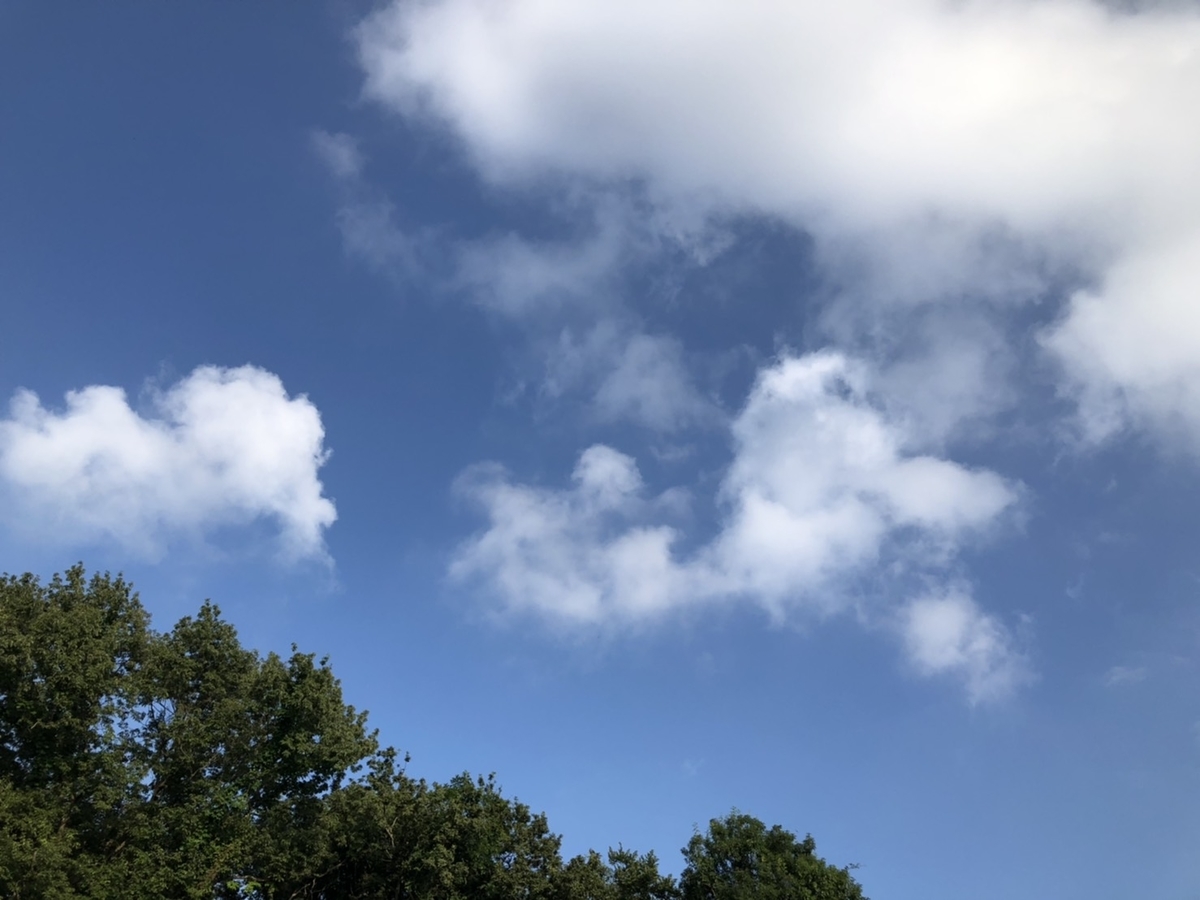 f:id:Betty0918:20200801082649j:plain