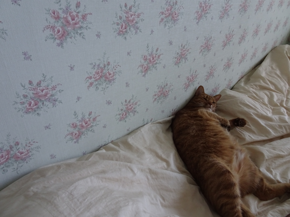 f:id:Betty0918:20200811152942j:plain