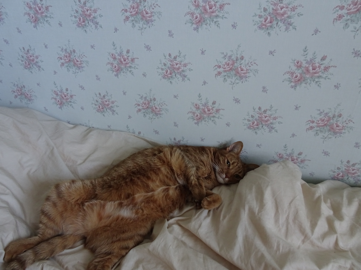 f:id:Betty0918:20200811153044j:plain