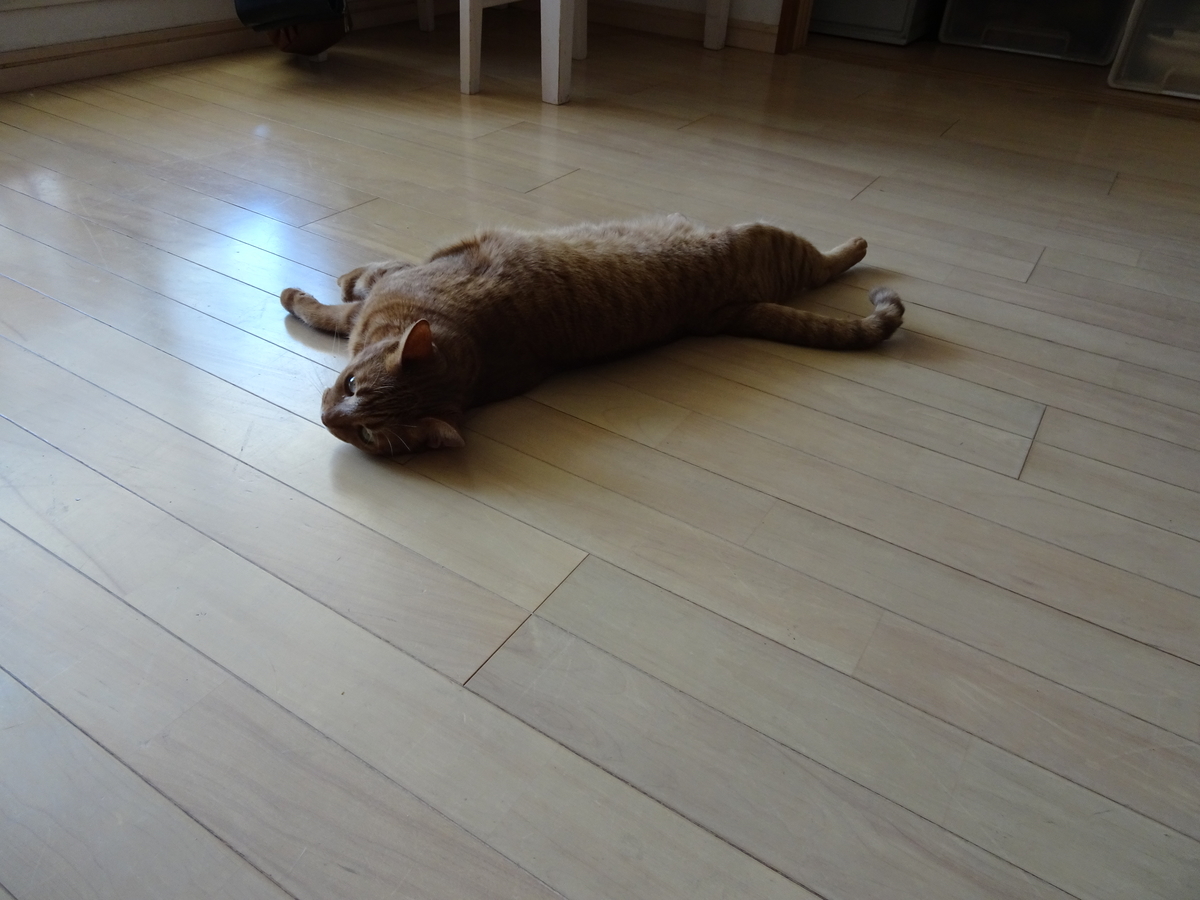 f:id:Betty0918:20200811153254j:plain