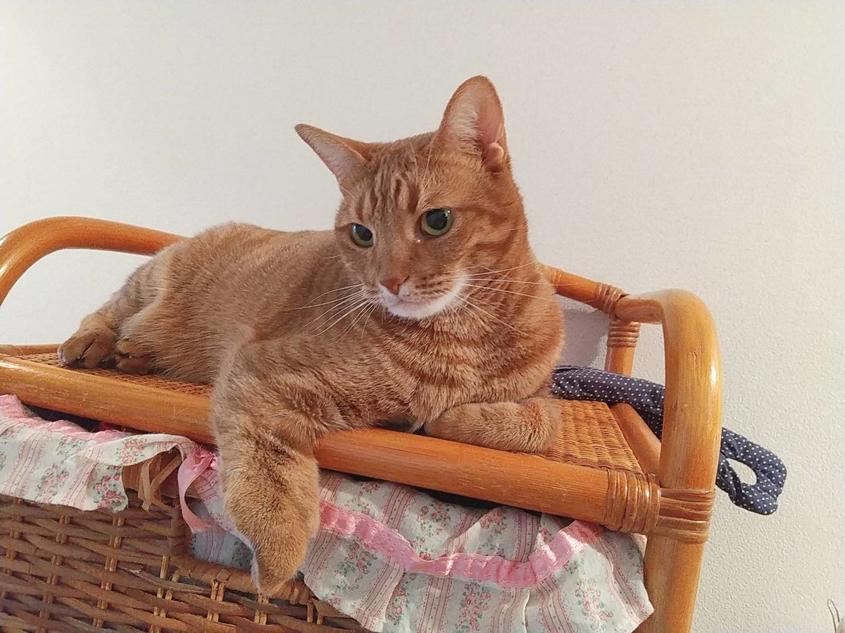 f:id:Betty0918:20200818142308j:plain