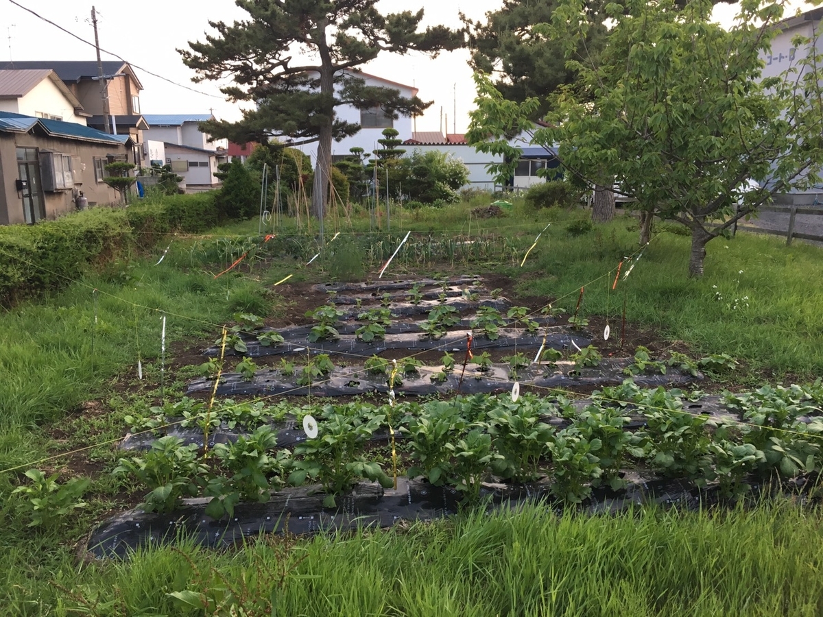 f:id:Betty0918:20200920203750j:plain