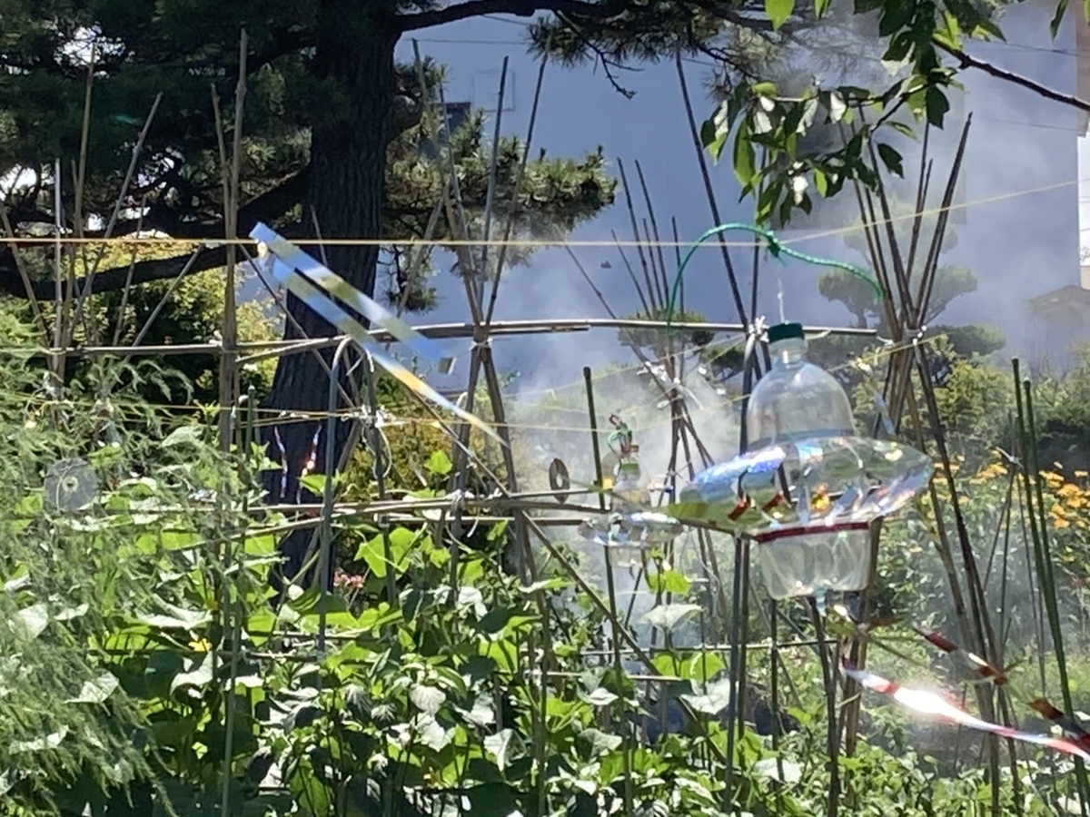 f:id:Betty0918:20200920204025j:plain