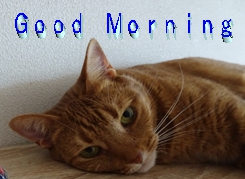 f:id:Betty0918:20201008193432j:plain