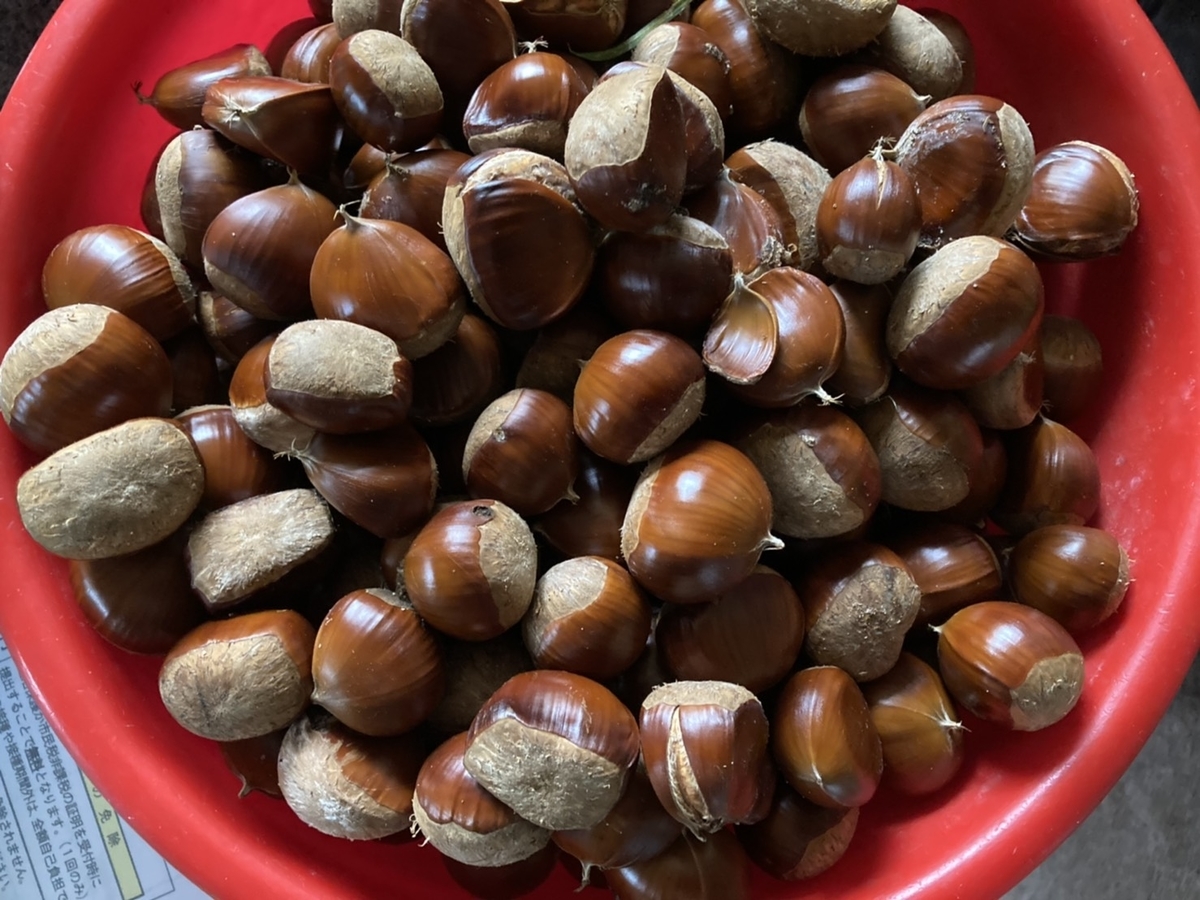 f:id:Betty0918:20201022195628j:plain f:id:Betty0918:20201022195628j:plain