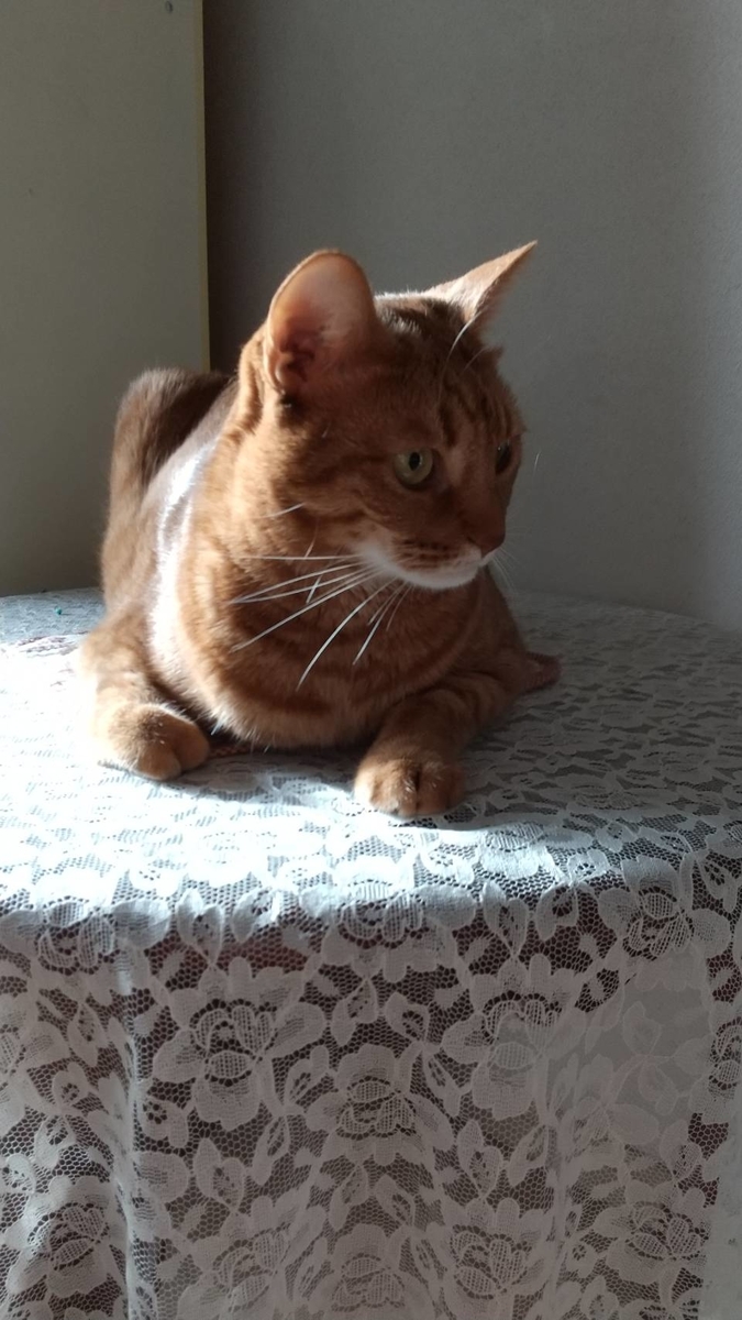 f:id:Betty0918:20201027172850j:plain f:id:Betty0918:20201027172850j:plain