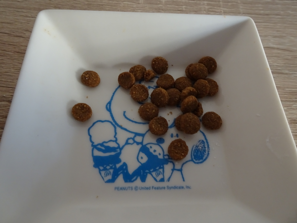 f:id:Betty0918:20201027173530j:plain f:id:Betty0918:20201027173530j:plain