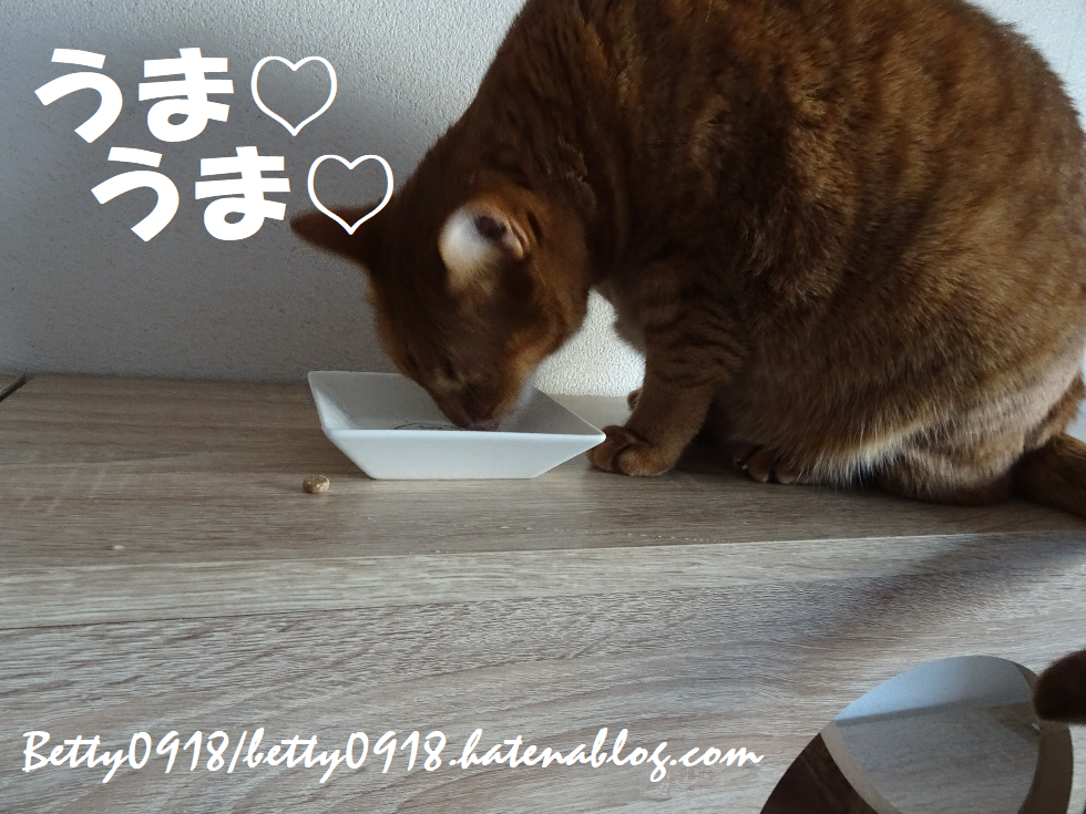 f:id:Betty0918:20201027173737p:plain f:id:Betty0918:20201027173737p:plain