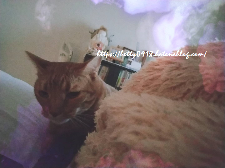 f:id:Betty0918:20201107135925p:plain