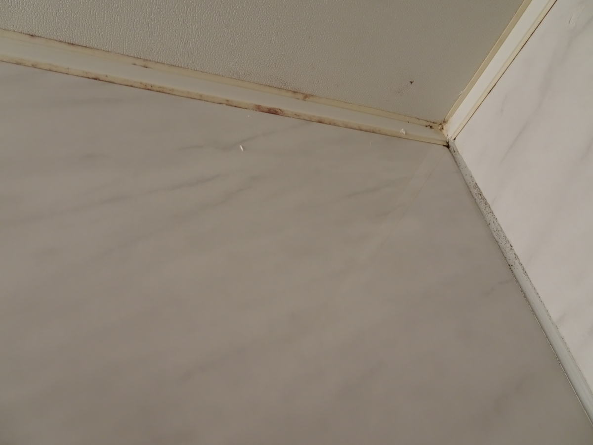 f:id:Betty0918:20201205220244j:plain