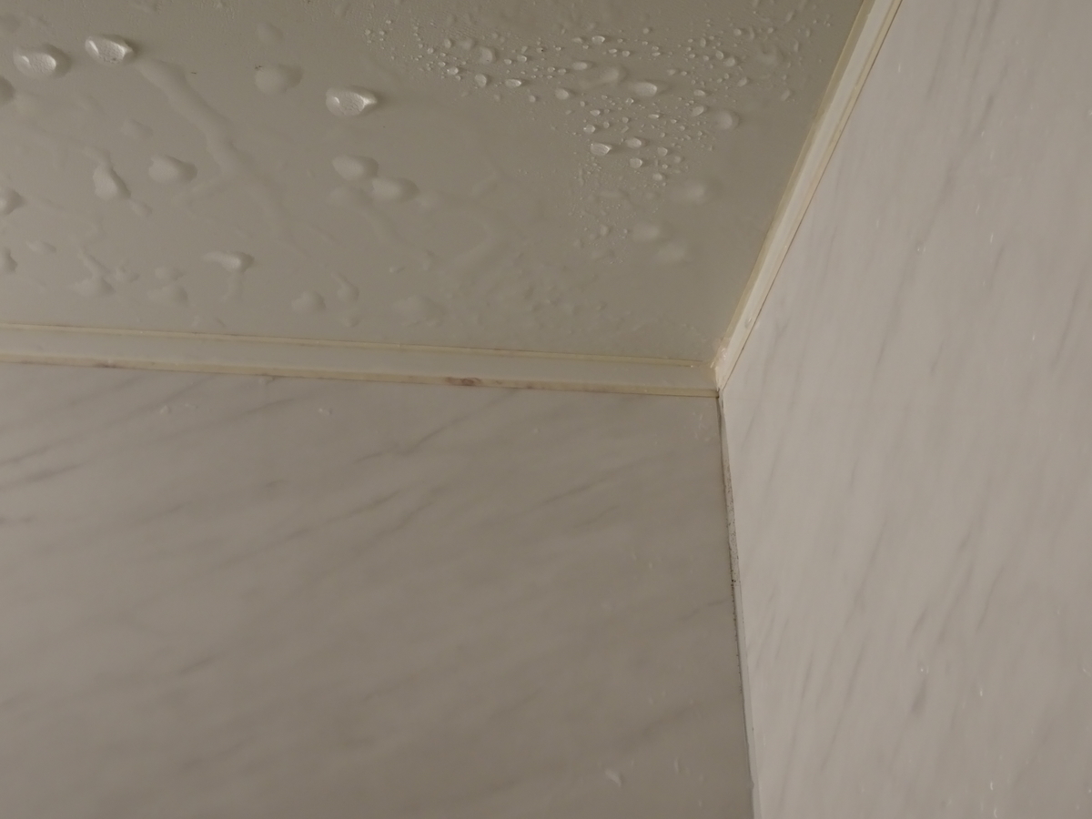 f:id:Betty0918:20201205220513j:plain