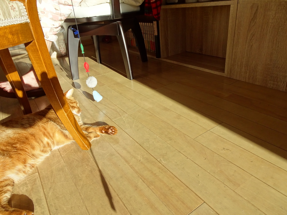 f:id:Betty0918:20201218134903j:plain