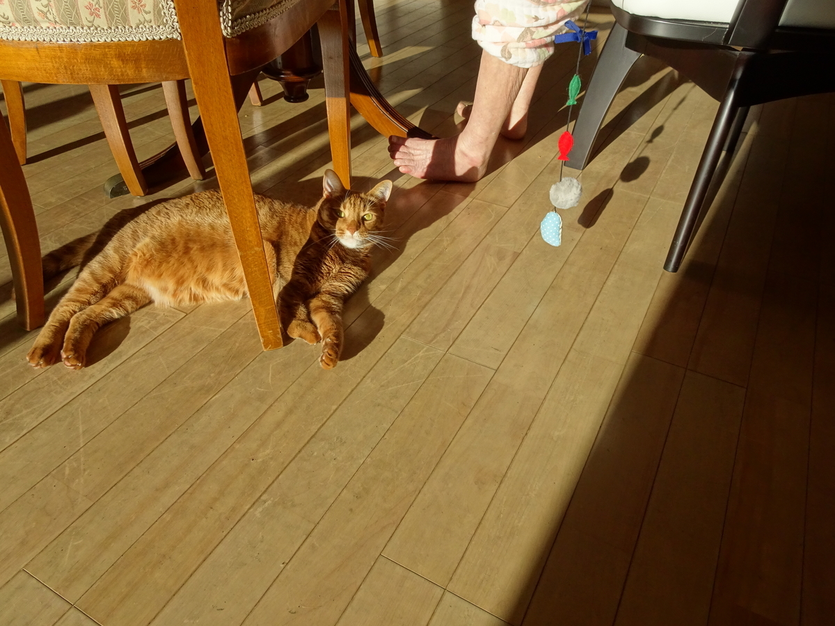 f:id:Betty0918:20201218135840j:plain