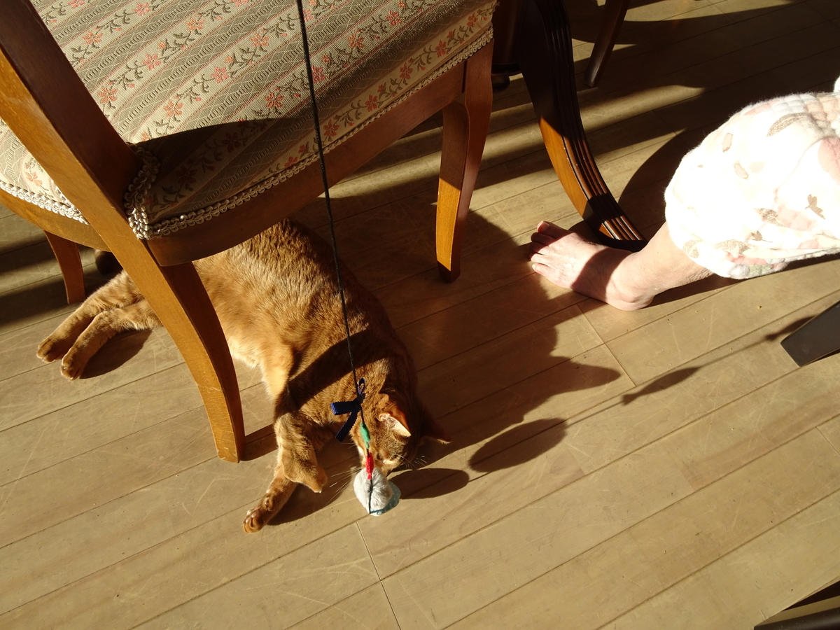 f:id:Betty0918:20201218140450j:plain