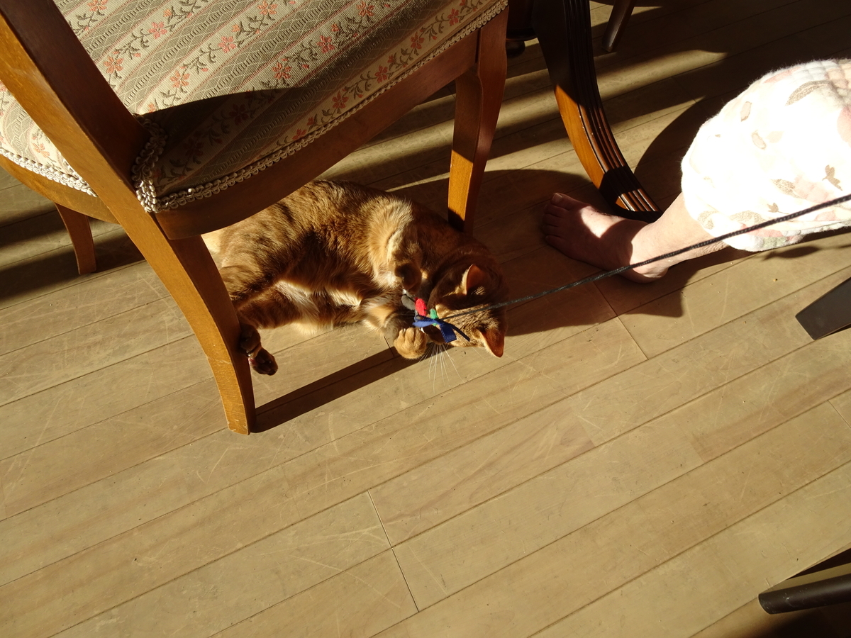 f:id:Betty0918:20201218140556j:plain